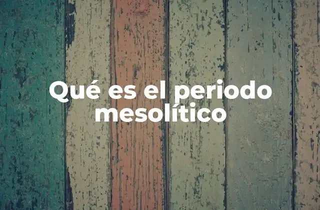 Qué es el Periodo Mesolítico