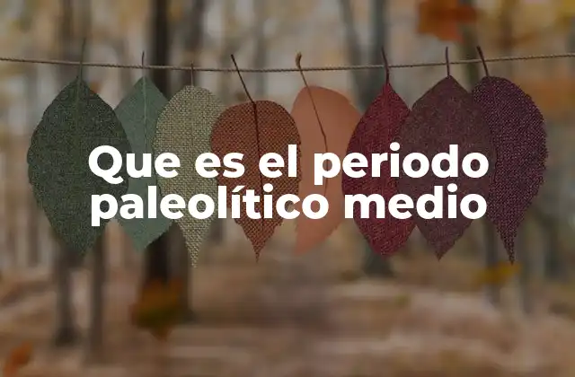 Que es el Periodo Paleolítico Medio