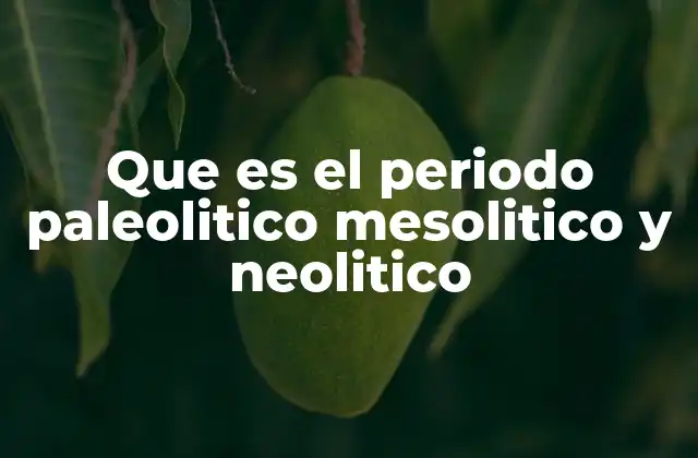 Que es el Periodo Paleolitico Mesolitico y Neolitico