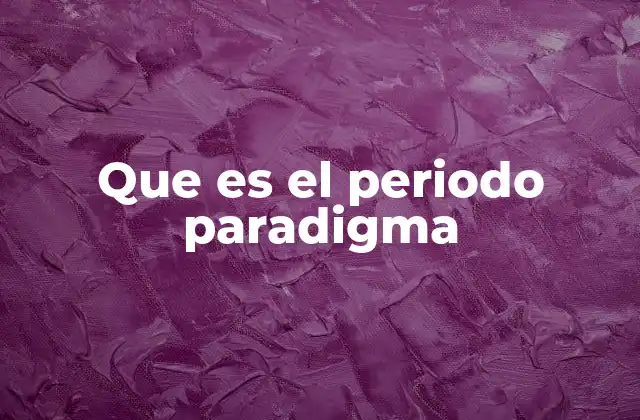 Que es el Periodo Paradigma
