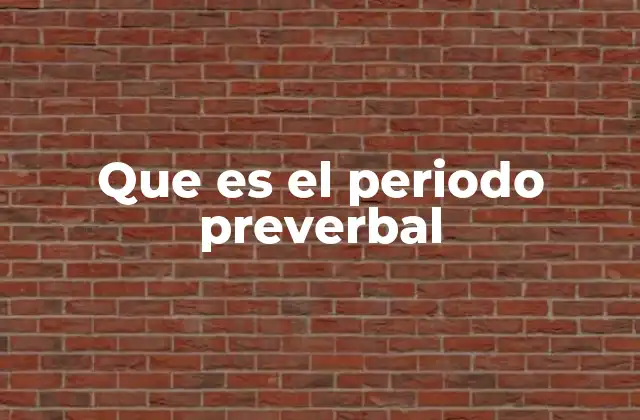Que es el Periodo Preverbal