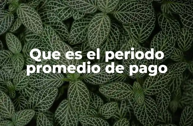 Que es el Periodo Promedio de Pago
