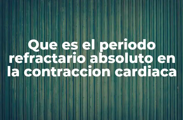 Que es el Periodo Refractario Absoluto en la Contraccion Cardiaca