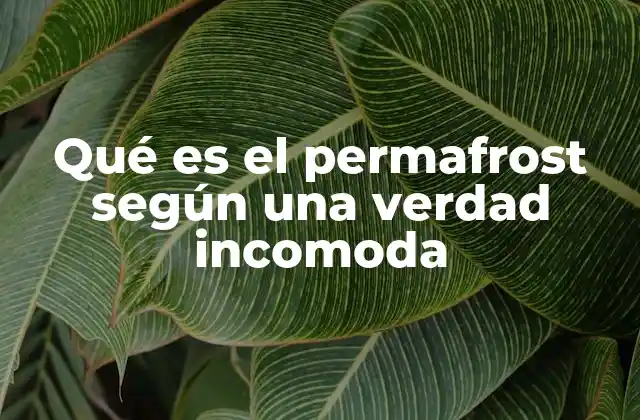 La conexión entre el permafrost y el cambio climático