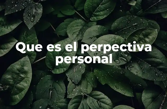 Que es el Perpectiva Personal