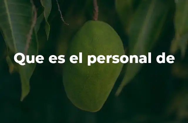 Que es el Personal de