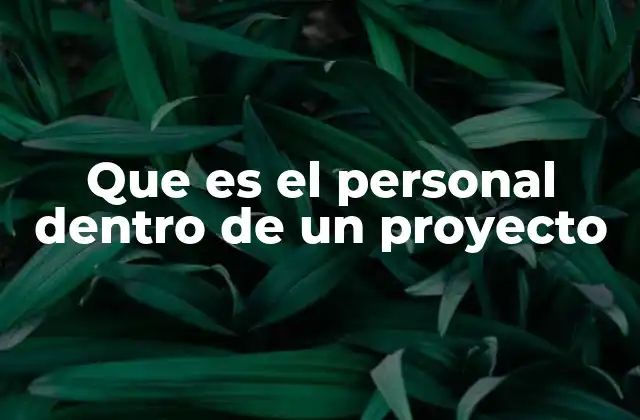El papel del personal en la ejecución de un proyecto