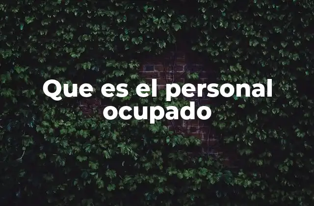 Que es el Personal Ocupado