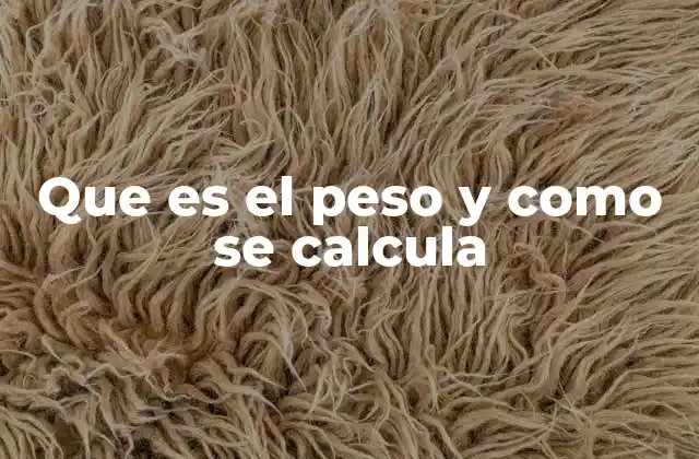 Que es el Peso y como Se Calcula