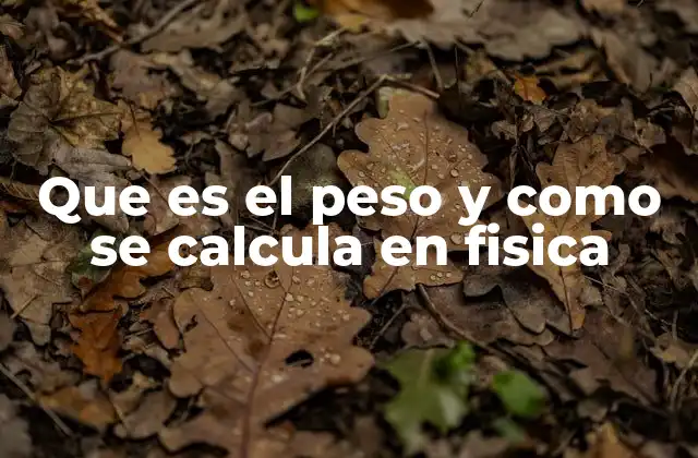 Que es el Peso y como Se Calcula en Fisica 2 La importancia del peso en la física clásica