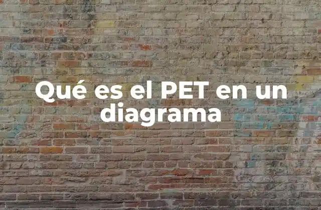 Qué es el Pet en un Diagrama