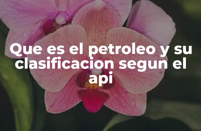 Que es el Petroleo y Su Clasificacion Segun el Api