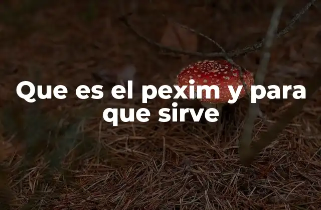 Que es el Pexim y para que Sirve