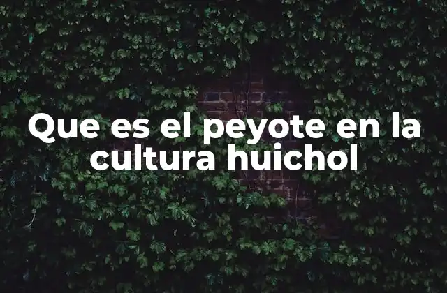Que es el Peyote en la Cultura Huichol