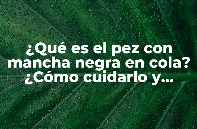 ¿qué es el Pez con Mancha Negra en Cola? ¿cómo Cuidarlo y Alimentarlo?