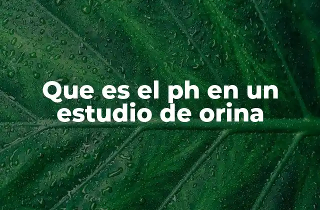 Que es el Ph en un Estudio de Orina