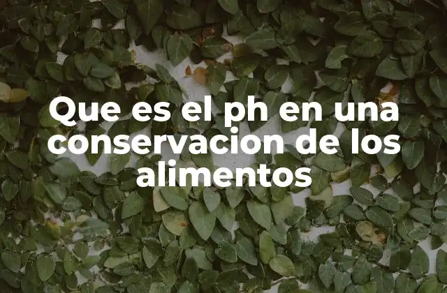 Que es el Ph en una Conservacion de los Alimentos