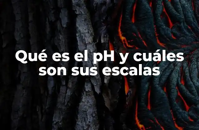 Qué es el Ph y Cuáles Son Sus Escalas