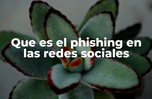 Que es el Phishing en las Redes Sociales