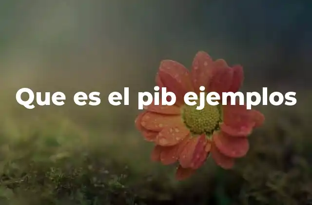 Que es el Pib Ejemplos