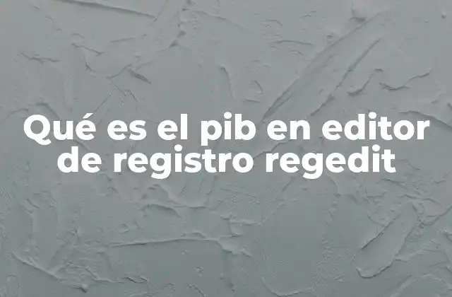 Qué es el Pib en Editor de Registro Regedit