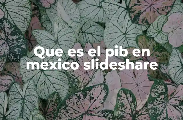 Que es el Pib en Mexico Slideshare