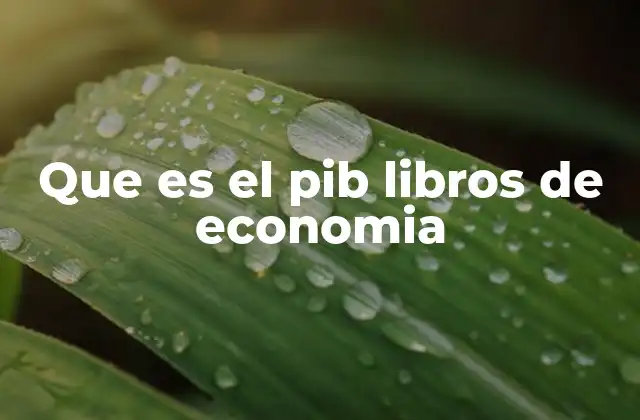 Que es el Pib Libros de Economia