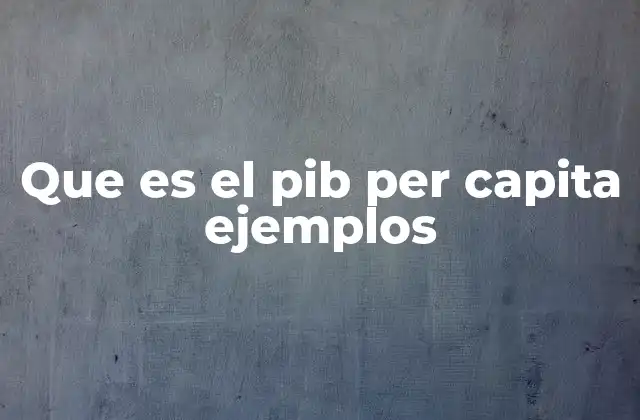 Que es el Pib Per Capita Ejemplos