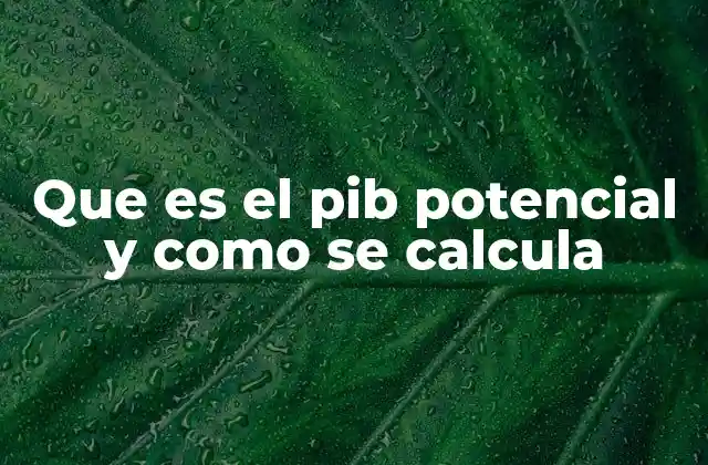 La relación entre PIB potencial y crecimiento económico sostenible
