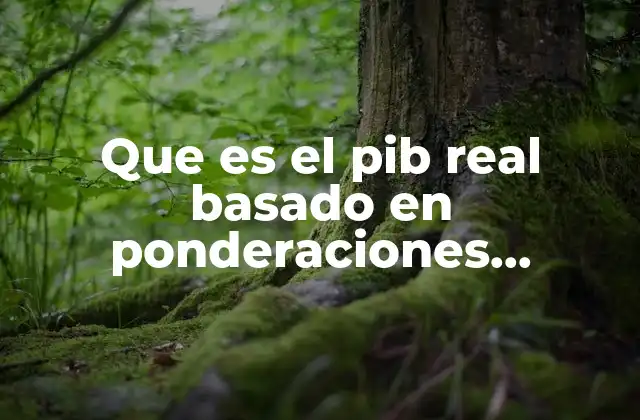 Que es el Pib Real Basado en Ponderaciones Encadenadas