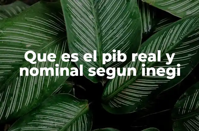 Que es el Pib Real y Nominal Segun Inegi