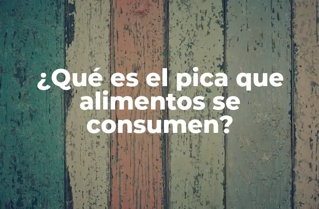 ¿qué es el Pica que Alimentos Se Consumen?