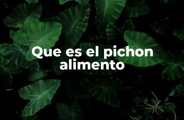 Que es el Pichon Alimento