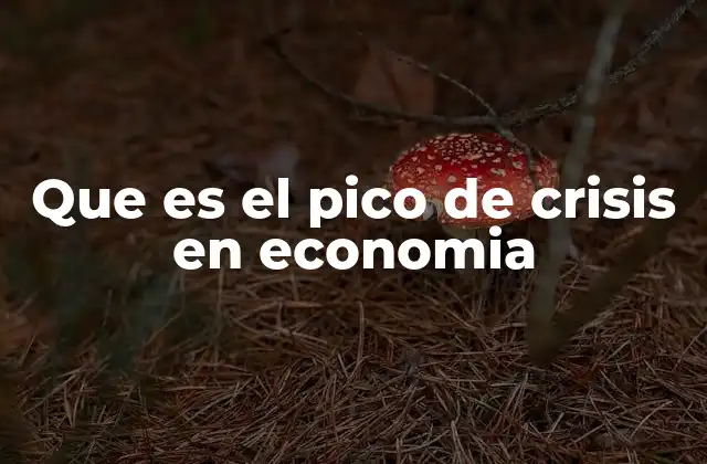 Que es el Pico de Crisis en Economia