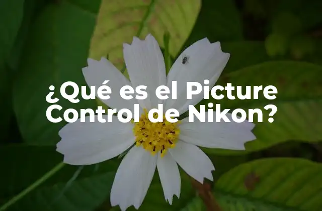¿qué es el Picture Control de Nikon? 2 Cómo el Picture Control mejora la calidad visual de las imágenes
