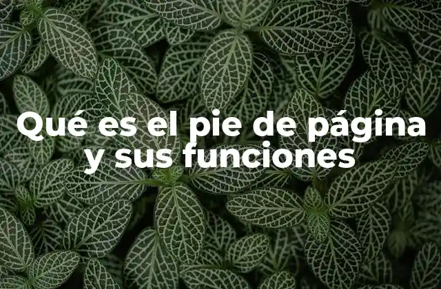 Qué es el Pie de Página y Sus Funciones