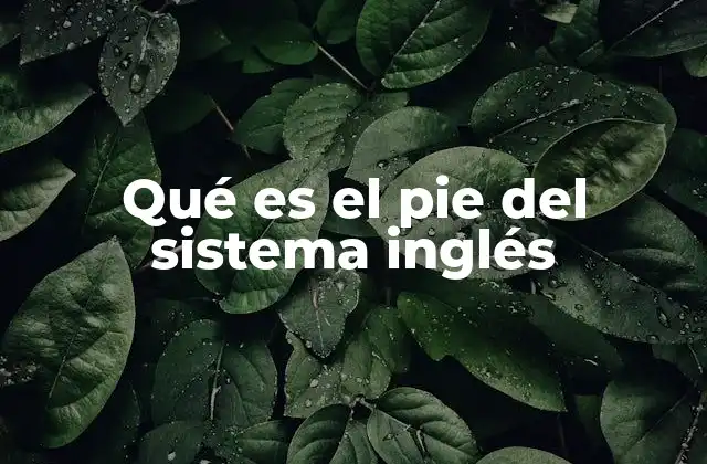 Qué es el Pie Del Sistema Inglés
