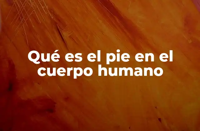 Qué es el Pie en el Cuerpo Humano