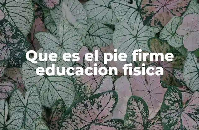 Que es el Pie Firme Educacion Fisica