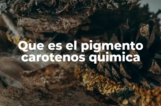 Que es el Pigmento Carotenos Quimica