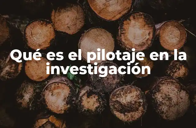 Qué es el Pilotaje en la Investigación