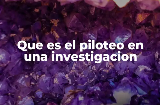 Que es el Piloteo en una Investigacion