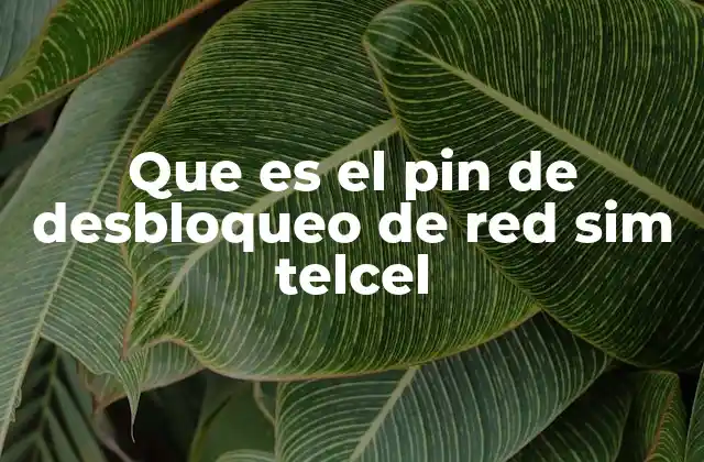 Que es el Pin de Desbloqueo de Red Sim Telcel