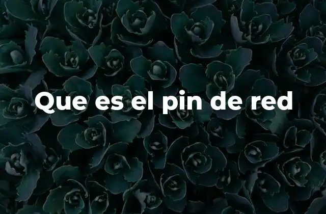 Que es el Pin de Red