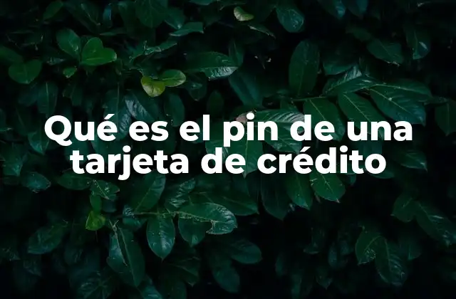 Qué es el Pin de una Tarjeta de Crédito