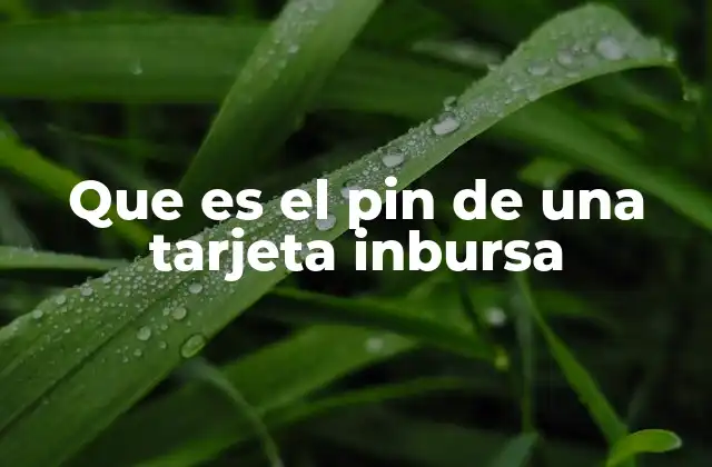 Que es el Pin de una Tarjeta Inbursa