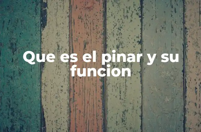 Que es el Pinar y Su Funcion