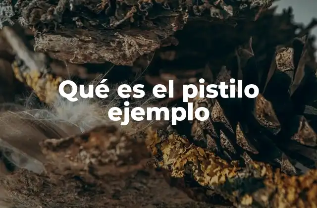 Qué es el Pistilo Ejemplo