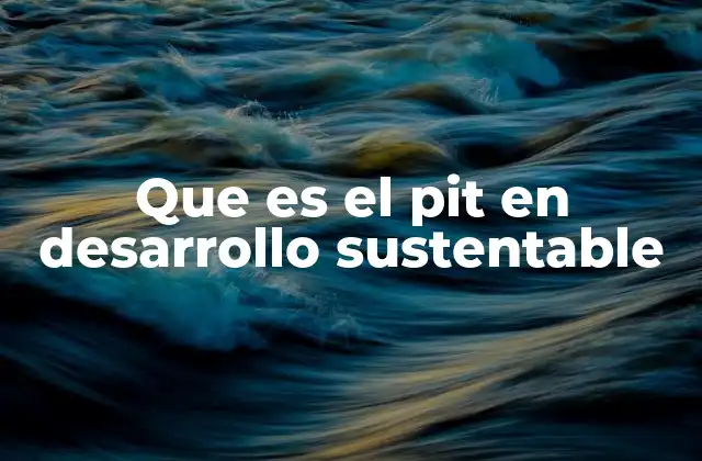 Que es el Pit en Desarrollo Sustentable