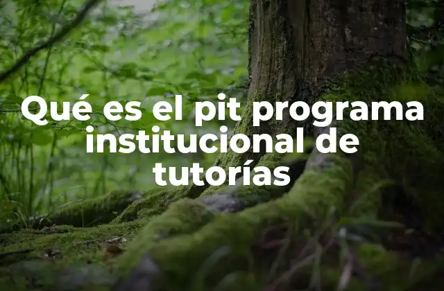 Qué es el Pit Programa Institucional de Tutorías